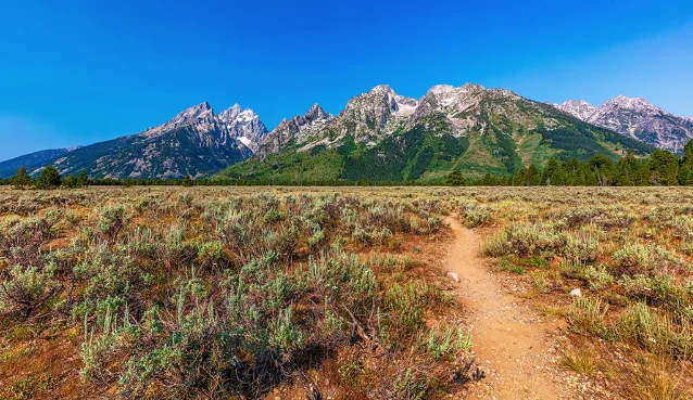 Grand Teton hiking trail with open sagebrush in the foreground and the snow-capped Teton Range in the distance under a clear blue sky