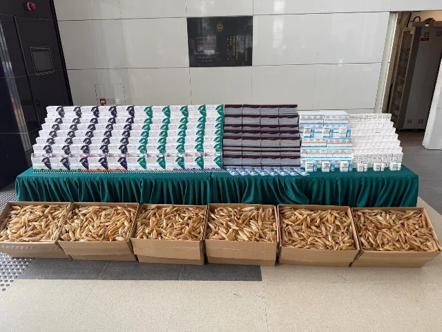 HK Customs official display: a green-draped table stacked with rows of pharmaceutical boxes in white, teal, and maroon packaging; six open cardboard boxes in the foreground overflowing with dried golden-brown fish maws