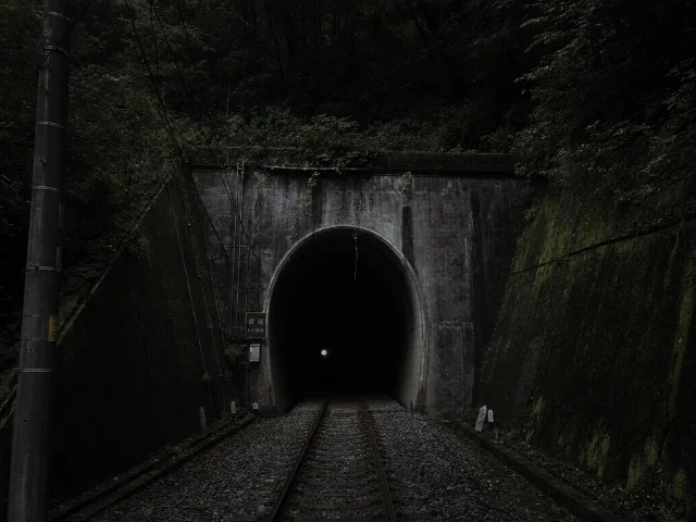 An empty Japanese train station platform at night, fluorescent light buzzing overhead, dense dark mountains beyond the tracks