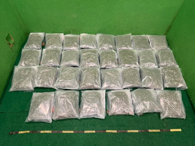 Hong Kong Customs official photo of approximately 15 kg of seized cannabis buds spread across a surface
