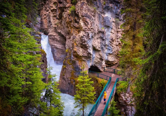 Johnston Canyon slot canyon with elevated catwalk and rushing snowmelt water in spring