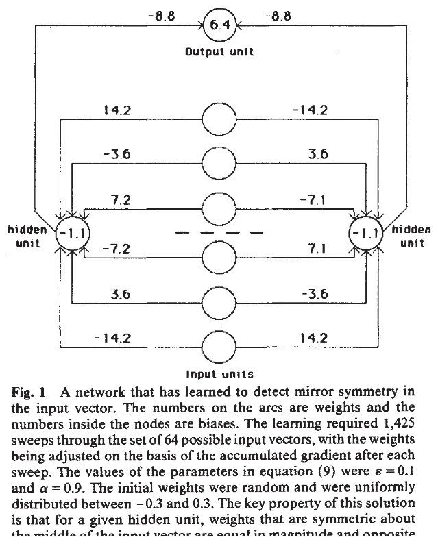 原论文 Figure 1:用于检测输入向量镜像对称性的网络