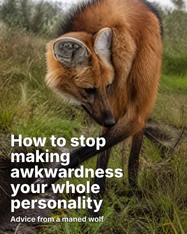 How to stop making awkwardness your whole personality