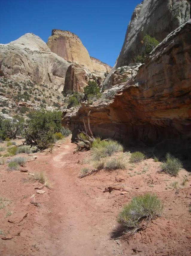 Capitol Reef canyon trail through red sandstone walls and desert scrub