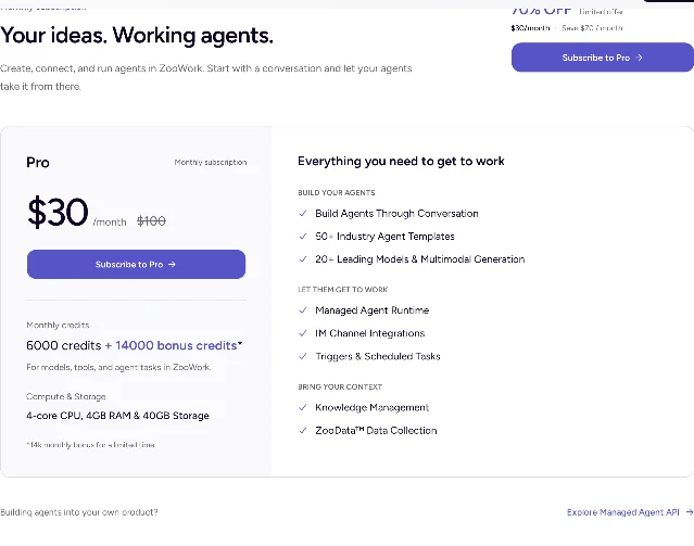 ZooWork 定价页的 Pro 档:月付 $30、原价 $100、70% OFF 限时,6,000 credits 加 14,000 赠送 credits