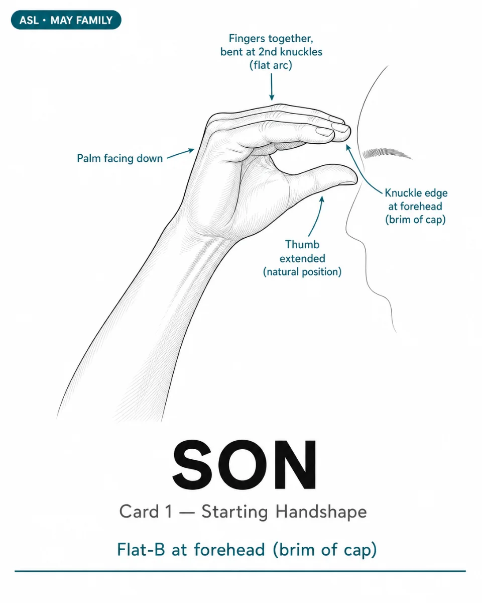 ✋ Sign of the Day — SON