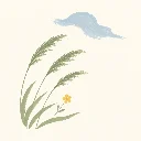 风经过的时候