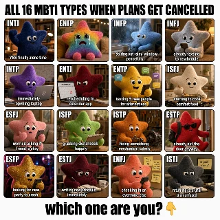 All 16 MBTI types when their plans get cancelled 😤