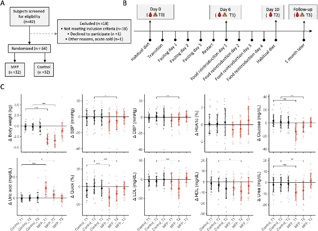 CONSORT flow, study timeline, and panel of metabolic parameter changes across T1, T2, and T3 for MFP (red) vs. control (black)