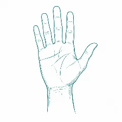 American Sign Language Daily