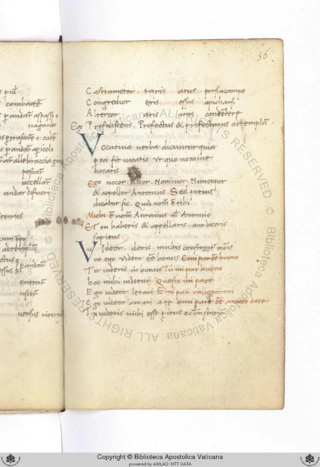 Folio 56r of Ott.lat.2294 — mid-manuscript, showing the continuous grammar text