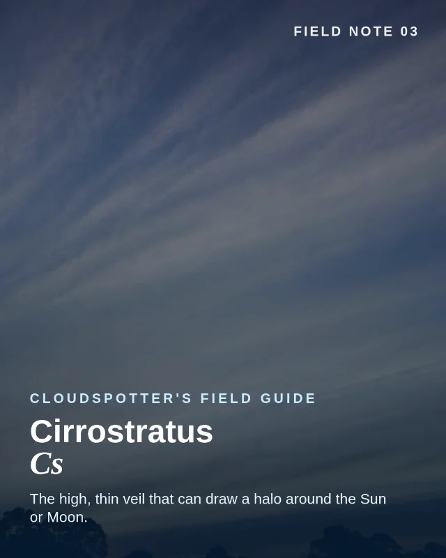 Cirrostratus: the high veil that draws a halo