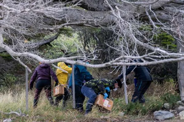 Argentine scientists collect traps in Ushuaia, Argentina, May 19, 2026