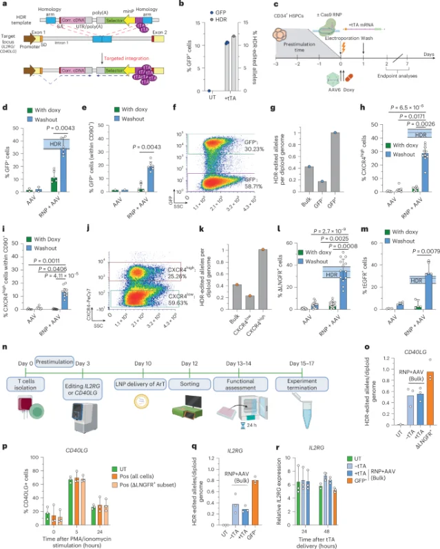 SMArT-1 strategy schematic: AAV6 HDR donor template with tTA transactivator achieving AND-gate selection of correctly integrated HSPCs