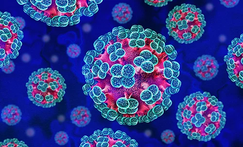 Hantavirus Global Situational Briefing — May 28, 2026