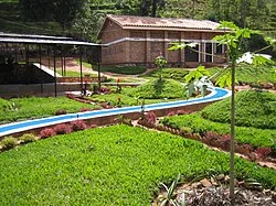 Cyarumbo washing station with a blue water chute running through a green hillside