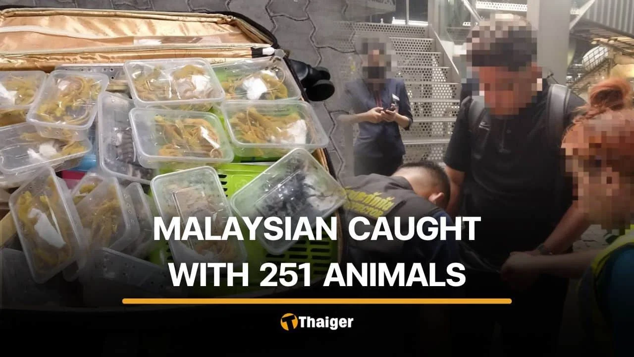 251 animals, one suitcase, $11M in gold
