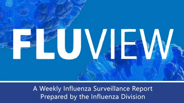 CDC FluView Week 22 cover banner — a blue background with flu virus particle imagery and the text "FLUVIEW: A Weekly Influenza Surveillance Report"