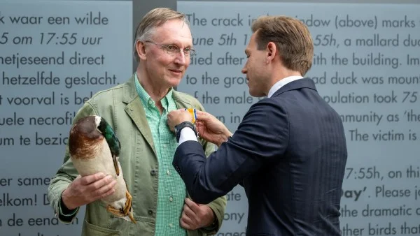 Deputy Mayor Tim Versnel pins the Knight in the Order of Orange-Nassau decoration on Kees Moeliker, who holds a mallard specimen, in front of a bilingual exhibit panel describing the 1995 duck incident