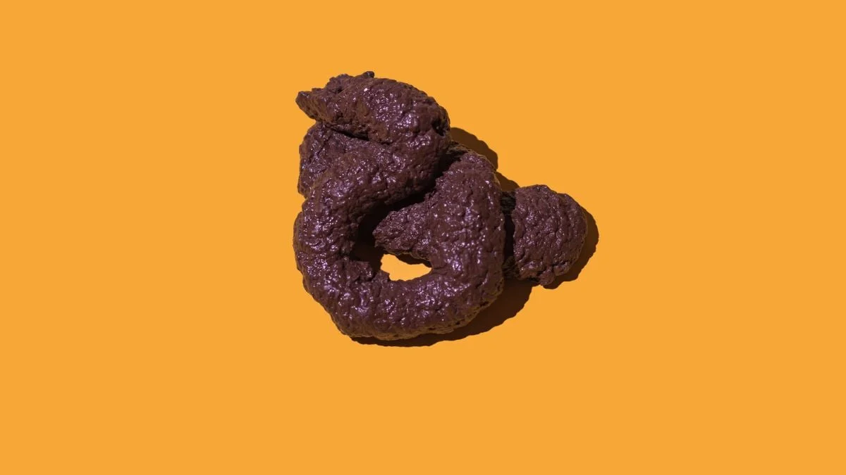 Poop physics, zombie tissue, and junk-food God