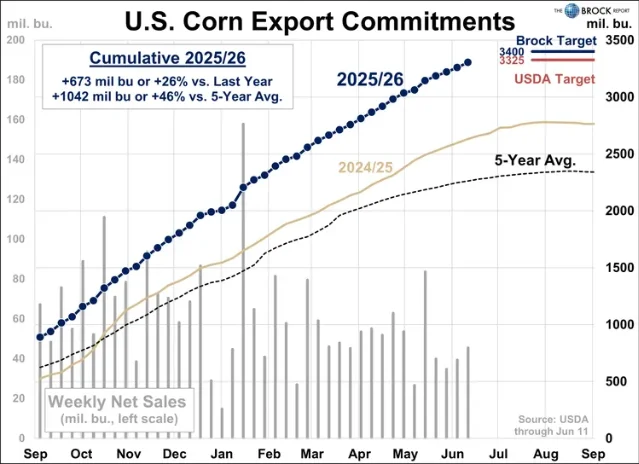 U.S. Corn Export Commitments chart through June 11, 2026, showing cumulative 2025/26 sales of +673 million bushels or +26% versus last year