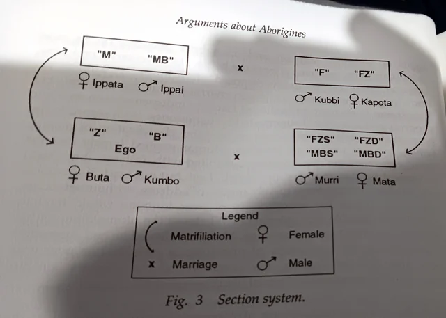 澳洲原住民八段婚姻分类系统(Kamilaroi 部落)示意图,见于 L.R. Hiatt《Arguments About Aborigines》