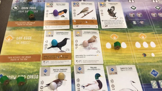 《Wingspan》游戏实战摆盘:三行栖息地各布置了多张鸟卡,玩家面板旁摆放着草色和蓝色蛋型配件