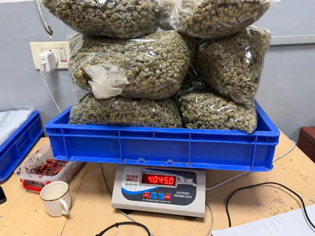 Several large transparent plastic bags of cannabis buds piled on a blue tray on a digital weighing scale reading 4045.0 grams