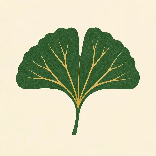 每天认识一种叶子