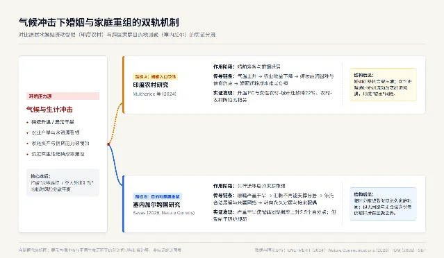 气候冲击下婚姻与家庭重组的双轨机制:对比原居地婚姻流动受限与跨国家庭目的地团聚的分流结构