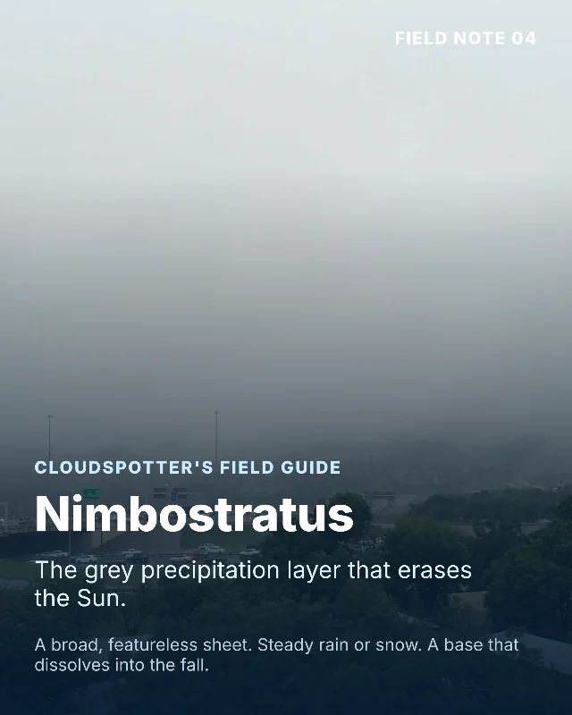 Nimbostratus: The Grey Layer That Erases the Sun