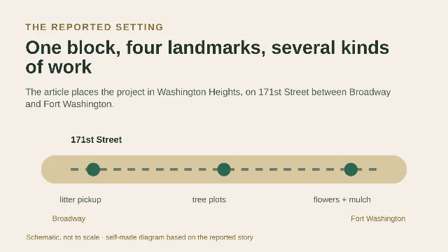 A schematic of the reported setting on 171st Street between Broadway and Fort Washington, with litter pickup, tree plots, and flowers and mulch marked along the block.