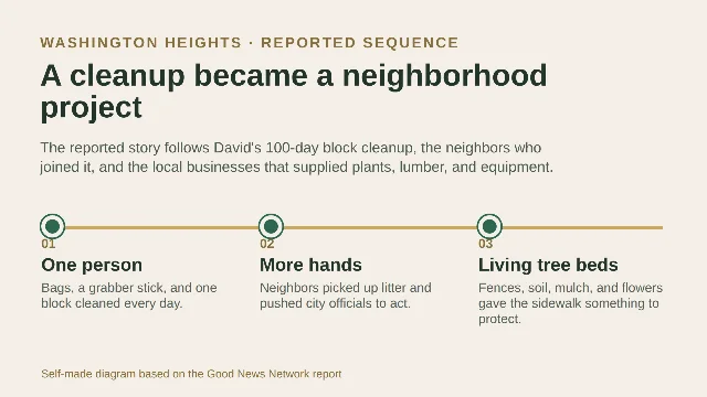 A three-step diagram of David's reported cleanup: one person, more hands, and living tree beds.