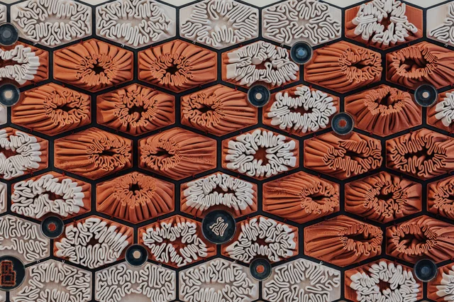 Hexagonal biofabricated surface from Living Assembly