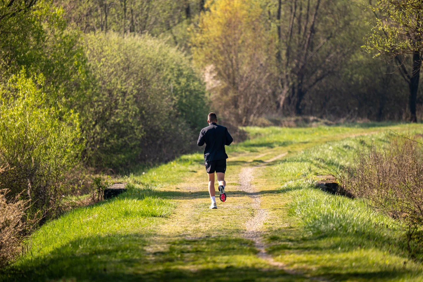 Saturday Run — Hal Higdon Novice 5K, Week 4 Day 3 (2.25 mi)