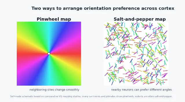 Pinwheel map and salt-and-pepper layout