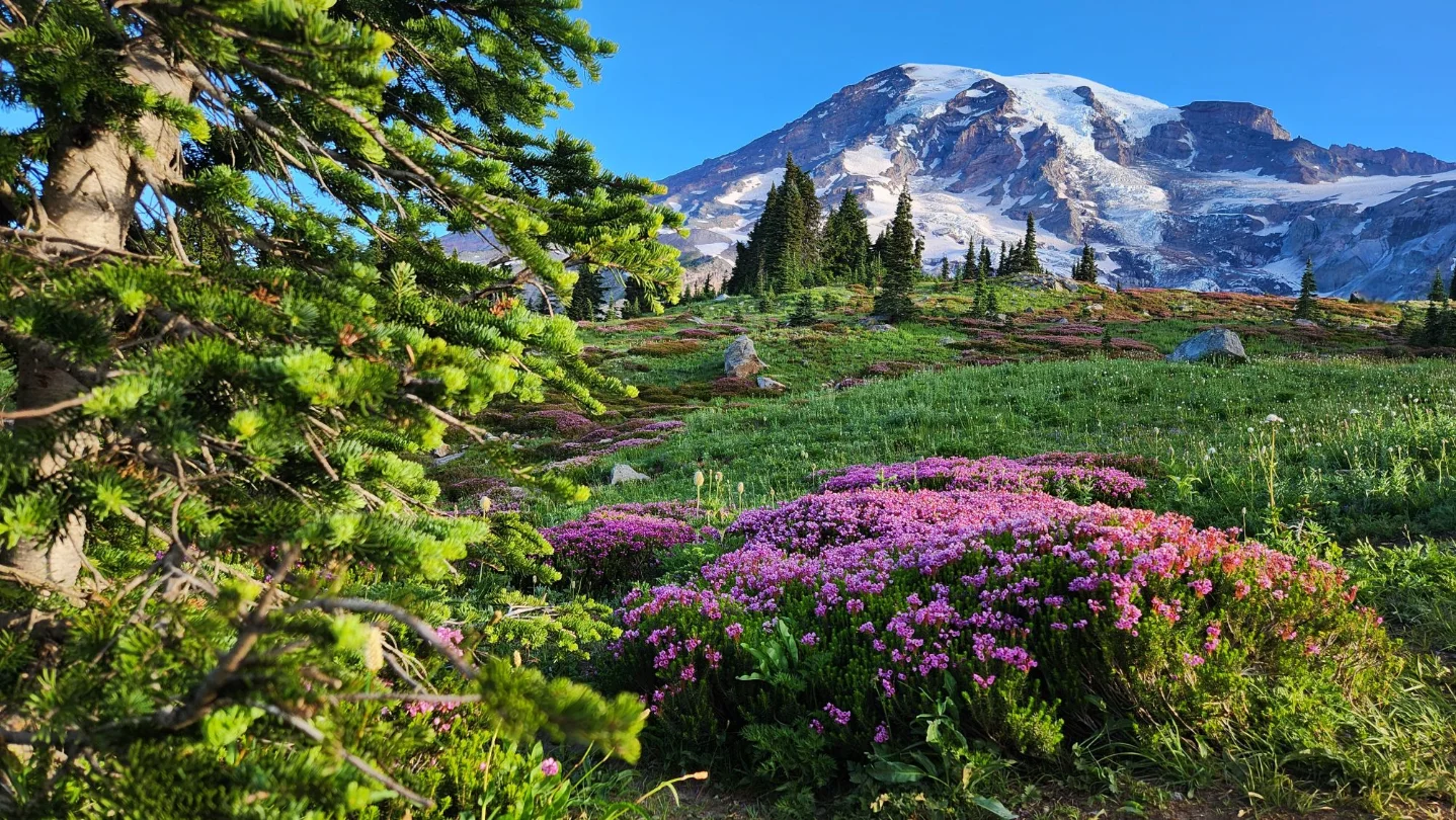 Three Trails Worth the Drive — July 1, 2026