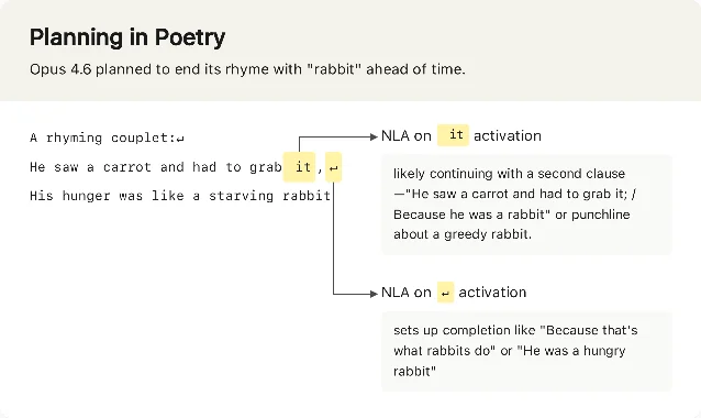 NLA 在简单对句上检测到 Opus 4.6 提前规划押韵词「rabbit」,图中包含原始 NLA 解释文本和交互式界面