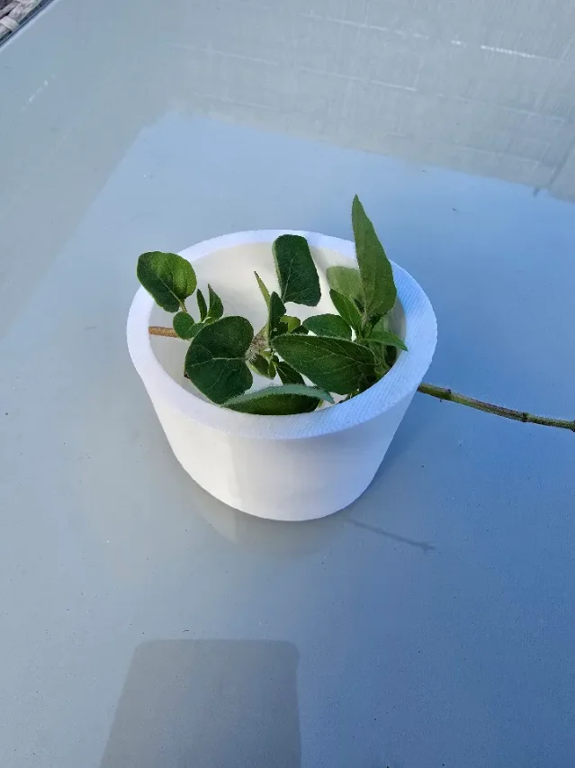 香草脱叶盆实物图,白色 PETG 打印件置于花园背景中,可见 3 个不同孔径的孔洞