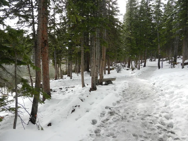 Bear Lake Trail with snow and ice covering the trail surface, NPS photo from May 21, 2026