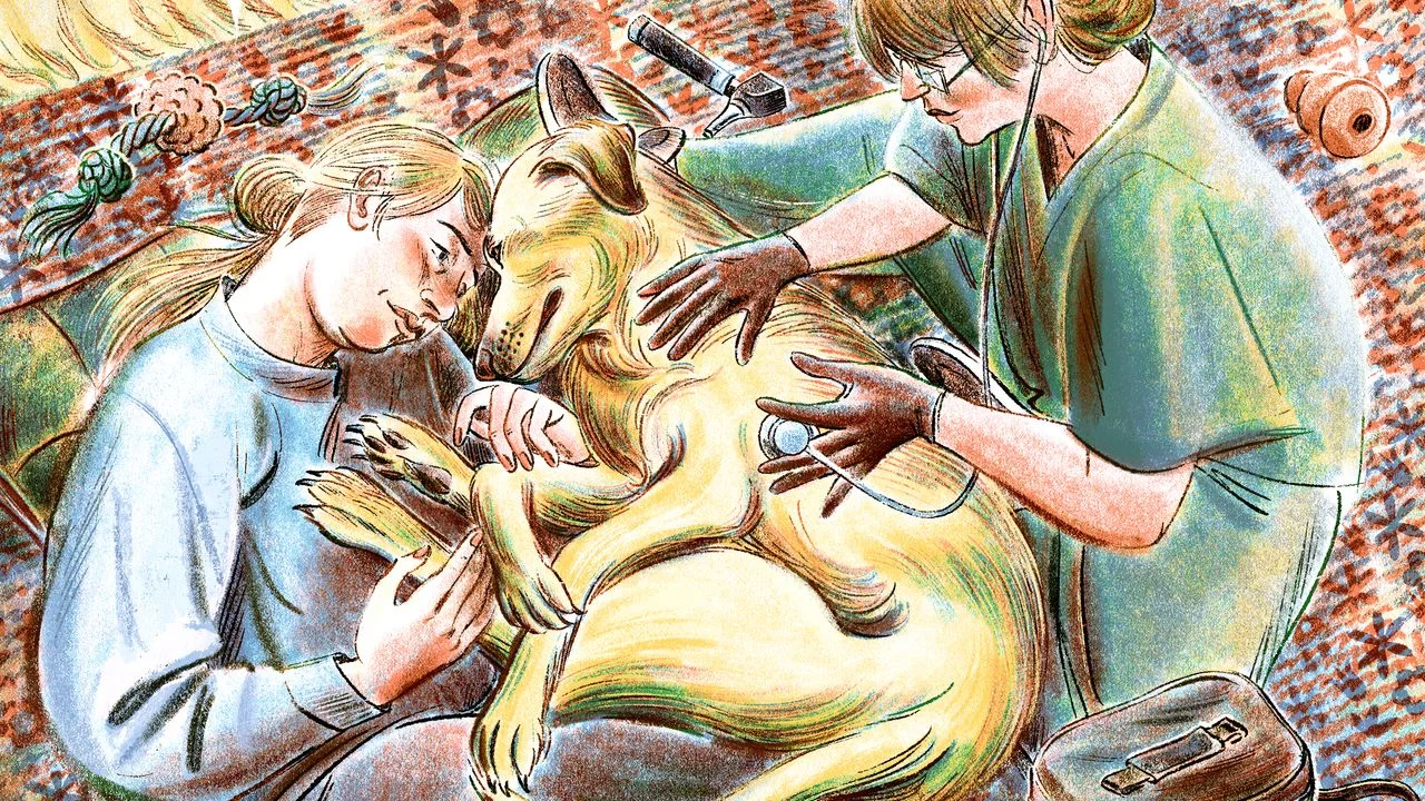 This week's read: When should you say goodbye to a pet?