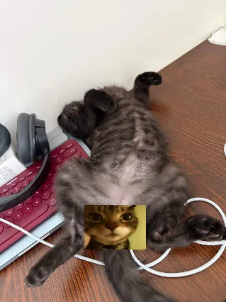 键盘是我的