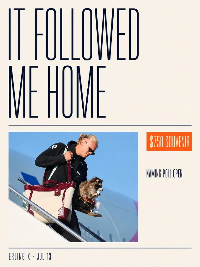 It Followed Me Home