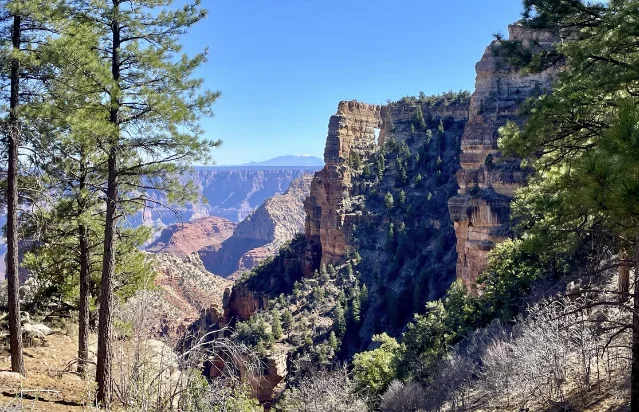 Angels Window rock formation on the Grand Canyon North Rim with Mt. Humphreys visible in the background, photographed March 2026 after Dragon Bravo Fire
