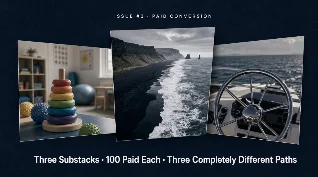 Three niches, three paths to 100 paid