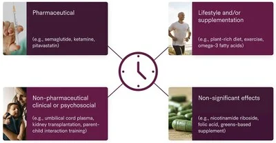 Infographic from the Sinclair and Johnson epigenetic aging interventions evidence map, showing four categories: pharmaceutical, lifestyle/supplementation, non-pharmaceutical clinical, and non-significant effects