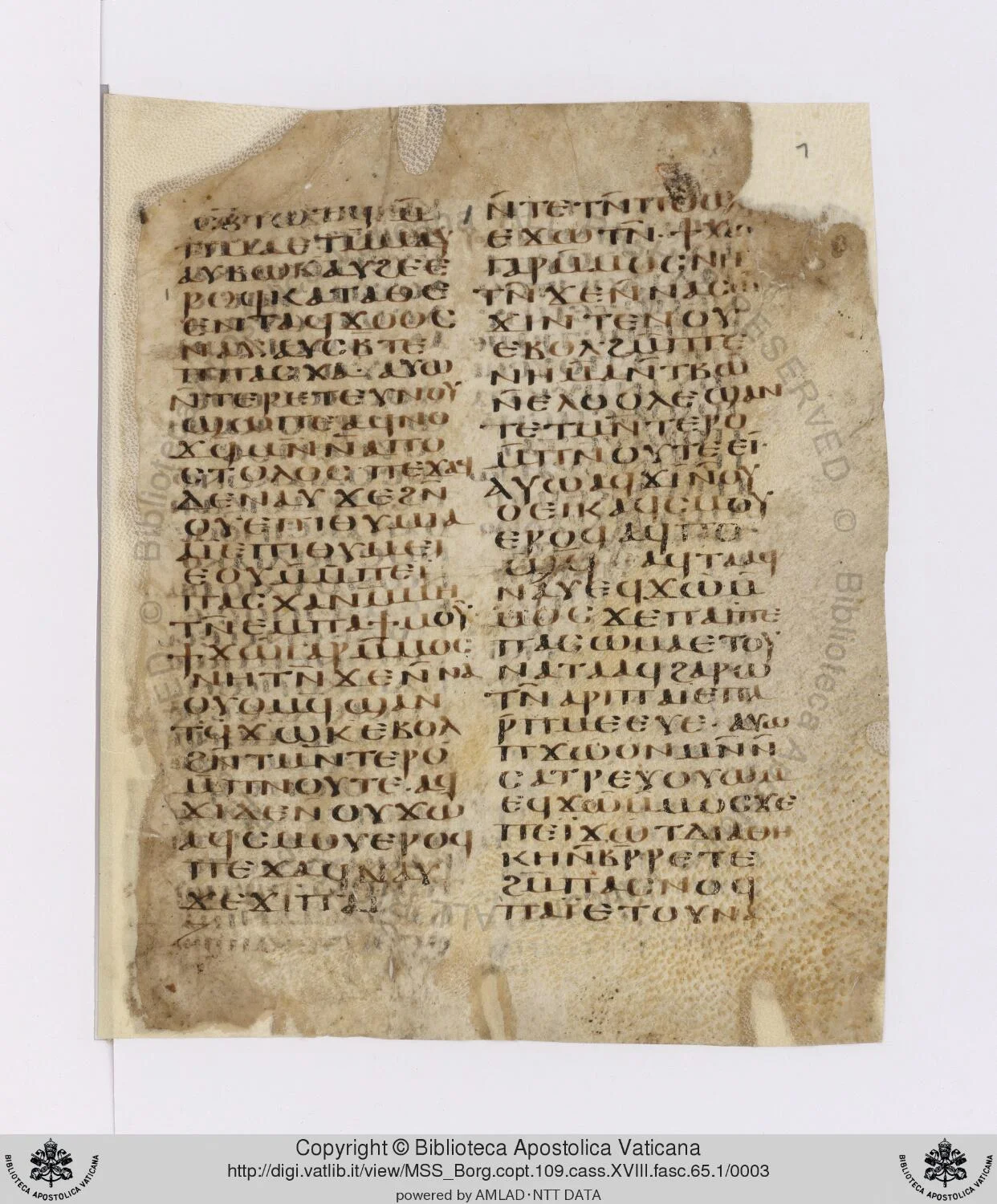 A 5th-century Gospel fragment from Cardinal Borgia's collection is now online