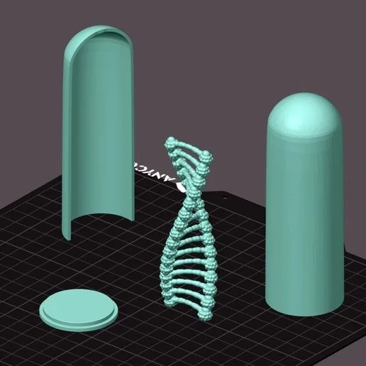 Exploded render showing the DNA helix, round base, half dome, and full dome