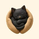 我和黑猫的日常 · 小红书图文帖