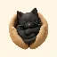我和黑猫的日常 · 小红书图文帖